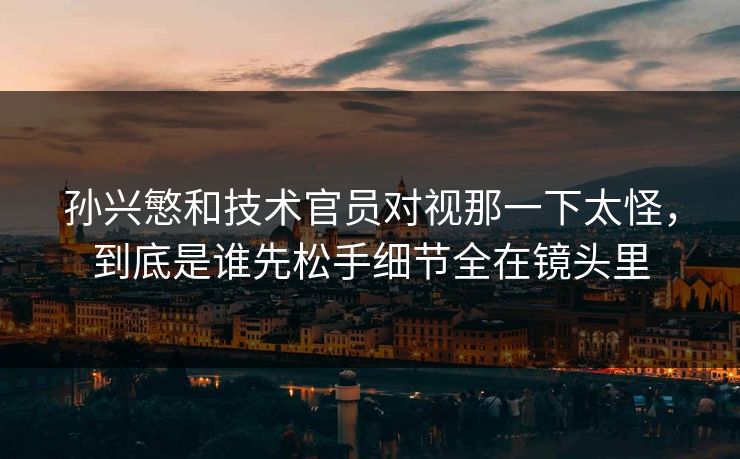 孙兴慜和技术官员对视那一下太怪,到底是谁先松手细节全在镜头里 孙兴慜和技术官员对视那一下太怪,到底是谁先松手细节全在镜头里
