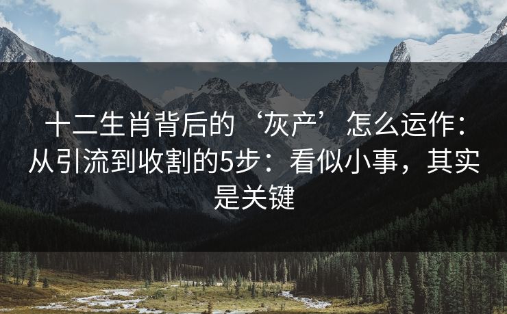 十二生肖背后的‘灰产’怎么运作：从引流到收割的5步：看似小事，其实是关键
