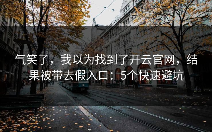 气笑了,我以为找到了开云官网,结果被带去假入口:5个快速避坑 气笑了,我以为找到了开云官网,结果被带去假入口:5个快速避坑